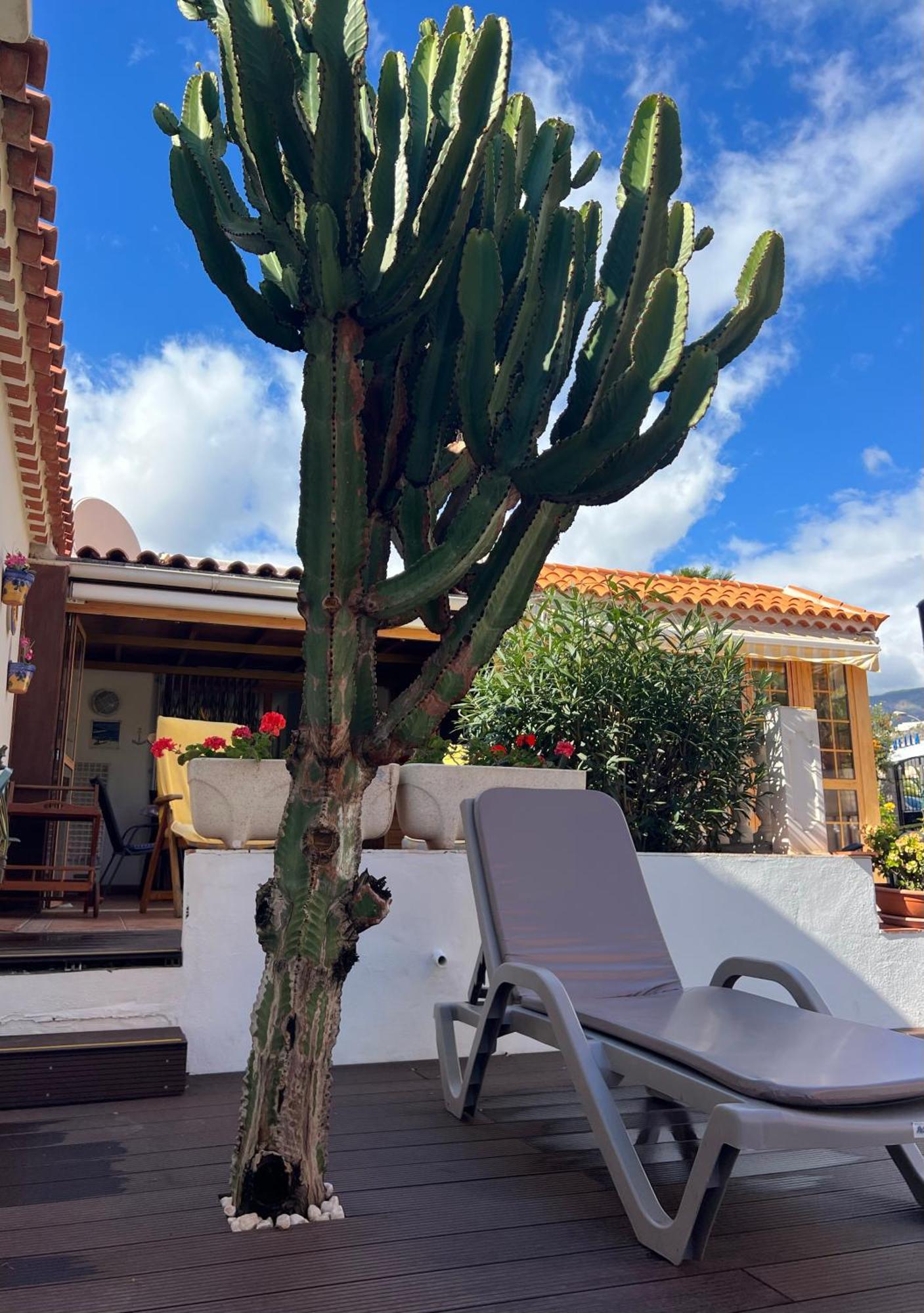 Cactus'S House, 150 M Beach, 1 Bdr, 4 Guests, Wifi, Netflix, Costa Adeje Dış mekan fotoğraf